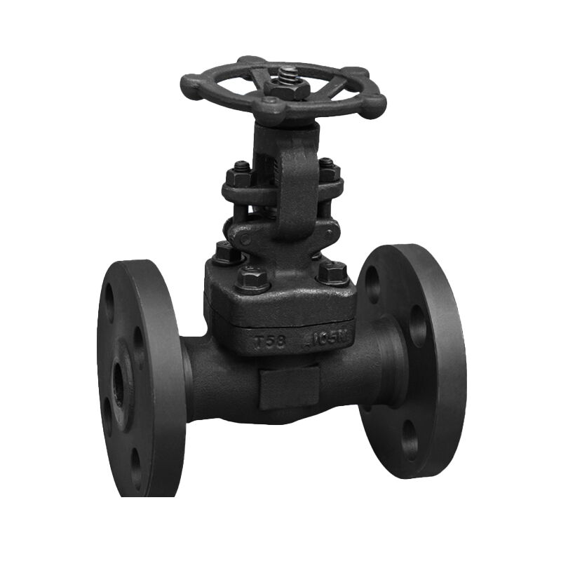 Integral Flanged Gate Valves, API 602, 3/8-2 IN, 150-2500 LB