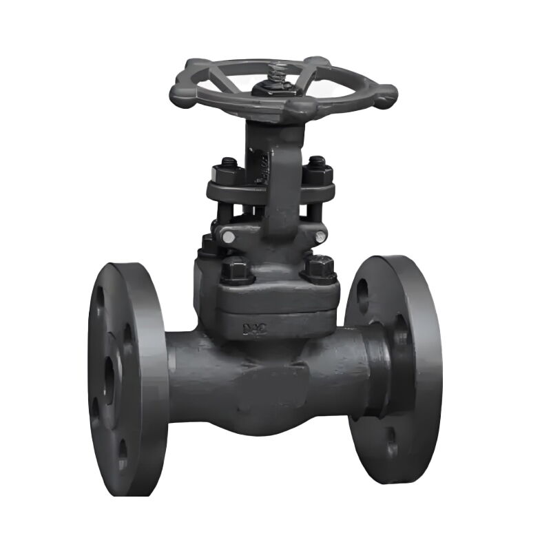 Integral Flanged Gate Valves