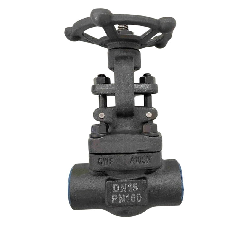 ISO 15761 Gate Valve, ASTM A105N, DN15, 1/2 Inch, PN160, NPT
