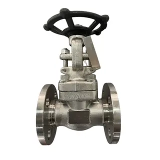 Integral Flanged Gate Valve, API 602, A182 F304, 1 IN, CL150