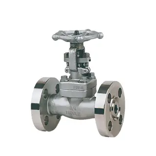ASTM A182 F304L Gate Valves, API 602, 3/4 Inch, 1500 LB, RTJ