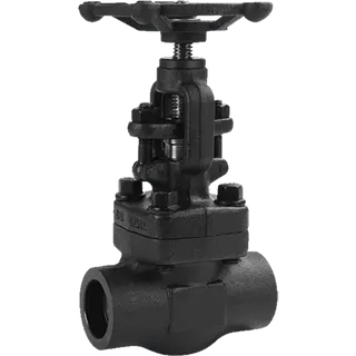 1-Inch Globe Valve