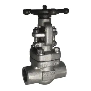 ASTM A182 F316 Gate Valve, API 602, 3/4 Inch, 800 LB, BB, SW