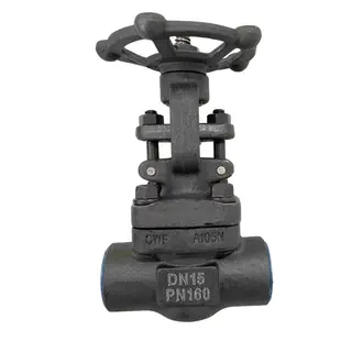 ISO 15761 Gate Valve, ASTM A105N, DN15, 1/2 Inch, PN160, NPT