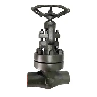 ASTM A350 LF2 Gate Valve, BS 5352, DN25, PN320, 1 Inch, NPT