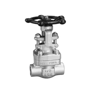 ASTM A182 F316L Gate Valve, API 602, 1/2 IN, CL800, OS&Y, SW