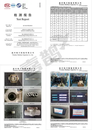 Type Test Report for 0.75-Inch Gate Valve According to ISO 15848-1 at 400°C