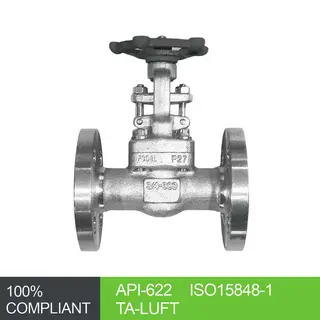 ASTM A182 F304L Gate Valve, API 602, ASME B16.34, 3/4 Inch