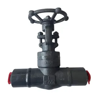 Welded Bonnet Gate Valve, API 602, A105N, 1 Inch, CL1500, BW