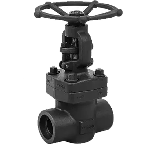 2-inch Gate Valve