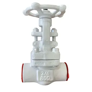 Rising Stem Gate Valves, API 602, A105N, 3/4 Inch, CL800, SW