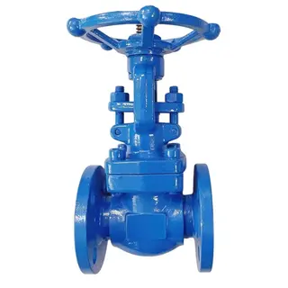 Forged Carbon Steel Gate Valve, API 602, ASTM A105N, 3/4 IN