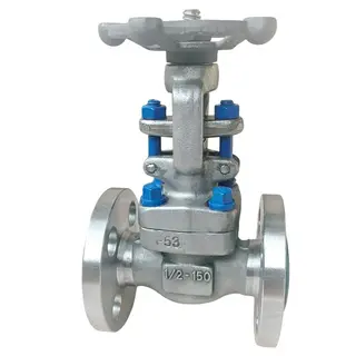 Rising Stem Gate Valve, API 602, A182 F53, 1/2 IN, CL150, RF