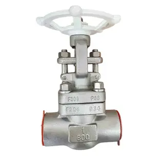 API 602 Gate Valve, ASTM A182 F304, 1 Inch, 800 LB, SW Ends