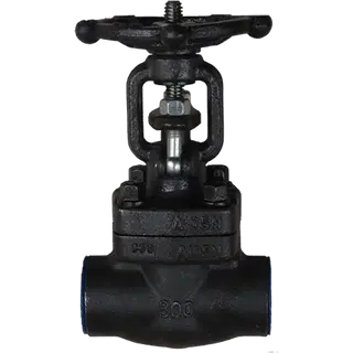 3/4 Inch Gate Valve