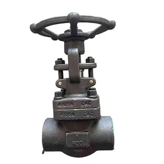 ASTM A105N Gate Valves, API 602, 1 Inch, CL800, BB, SW Ends