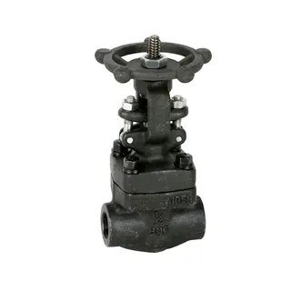 ASTM A105N Gate Valve, API 602, ISO 15761, 1/2 IN, CL800, SW