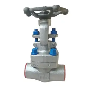 ASTM A182 F44 Gate Valves, 1 Inch, 800 LB, Bolted Bonnet, SW