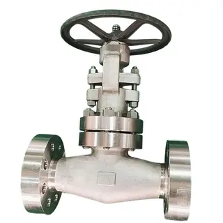 ASTM A182 F316/F316L Gate Valve, API 602, 2 Inch, CL2500, BB