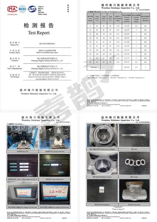 2-inch Gate Valve ISO 15848-1 Type Test Report for 400°C