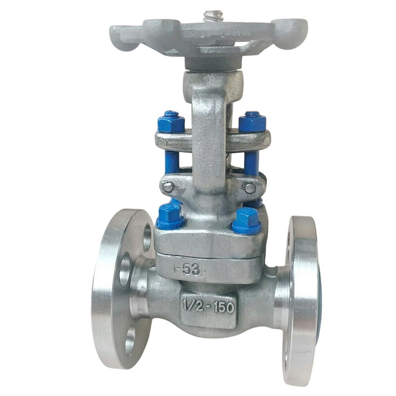 Rising Stem Gate Valve, API 602, A182 F53, 1/2 IN, CL150, RF