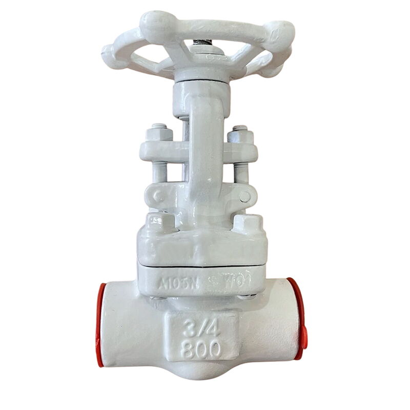 Rising Stem Gate Valves, API 602, A105N, 3/4 Inch, CL800, SW