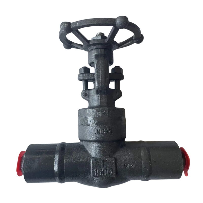 Welded Bonnet Gate Valve, API 602, A105N, 1 Inch, CL1500, BW