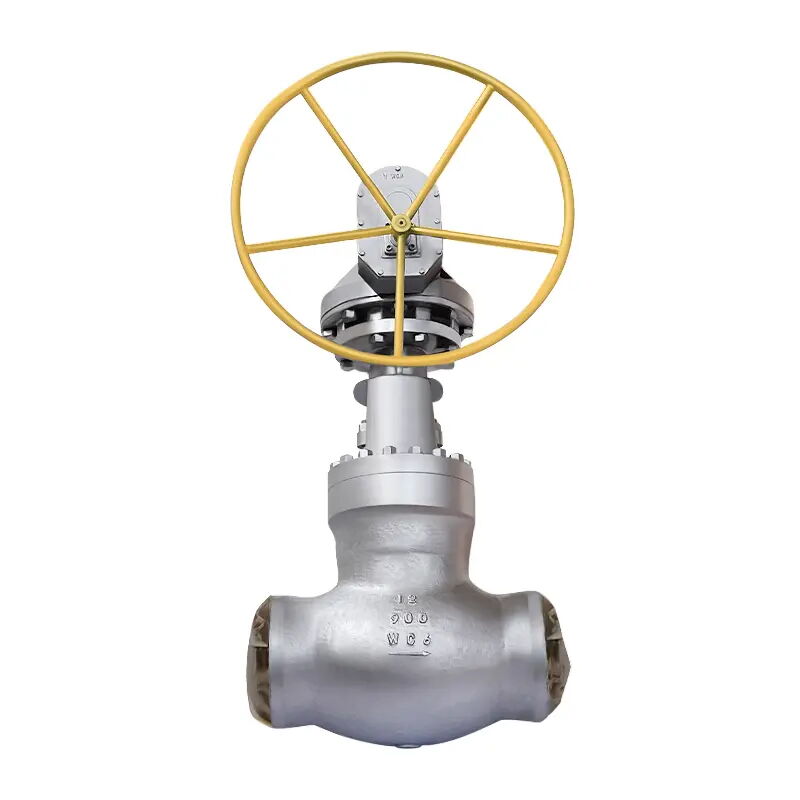 ASTM A217 WC6 Globe Valve, ASME B16.34, 12 Inch, 900 LB, PSB