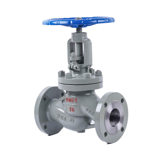 Custom Cast Steel Globe Valves, CS, SS, AS, DN50-DN300, PN16