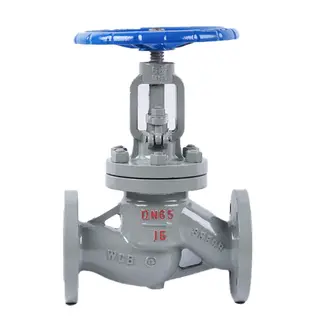 Custom Cast Steel Globe Valves, CS, SS, AS, DN50-DN300, PN16