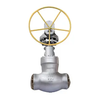 ASTM A217 WC6 Globe Valve, ASME B16.34, 12 Inch, 900 LB, PSB