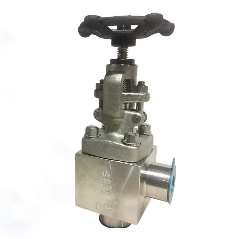 API 602 Angle Globe Valve, ASTM A182 F316, 1/2 IN, CL300, SW