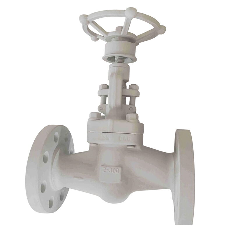 ASTM A105 Globe Valve, API 602, 2 IN, CL300, Rising Stem, RF
