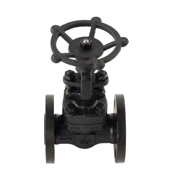 ASTM A105 Gloeb Valve