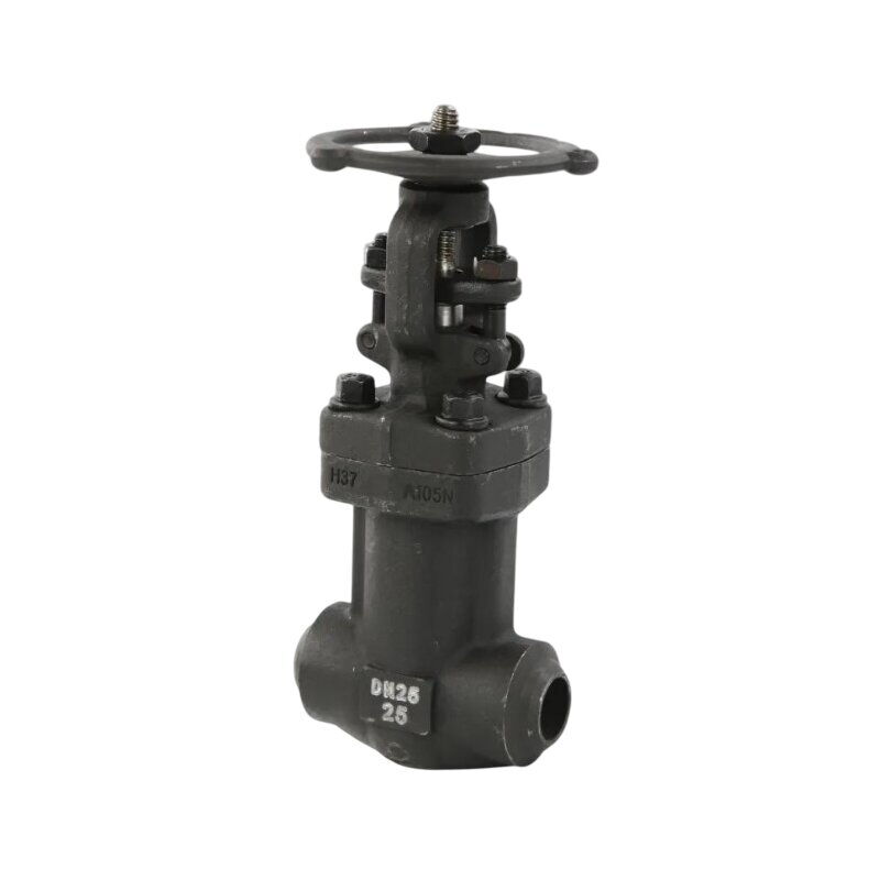 ASTM A105N Globe Valve, DIN 3356, DN25, PN25, Bellows Sealed