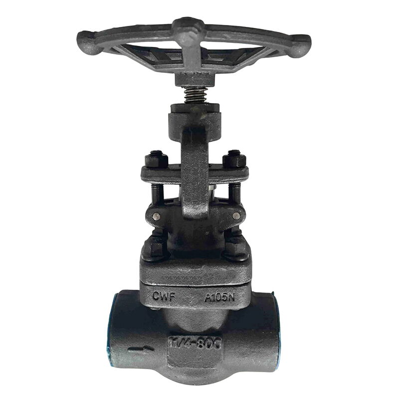 ASTM A105N Globe Valves, API 602, 1-1/4 Inch, CL800 LB, NPT