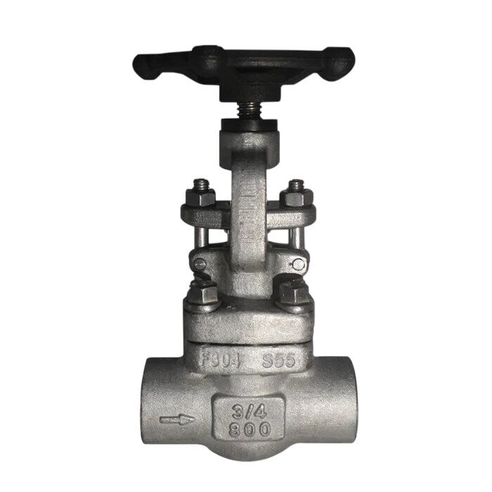 ASTM A182 F304 Globe Valve, API 602, BS 5352, 3/4 IN, 800 LB