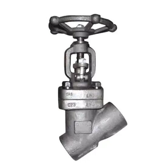 ASTM A182 F304 Y Globe Valve, API 602, 2 Inch, CL600, BB, SW