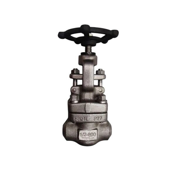 ASTM A182 F304L Globe Valve, API 602, 1/2 Inch, 800 LB, OS&Y