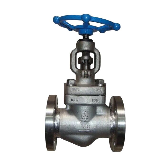 ASTM A182 F316 Globe Valve, ASME B16.34, 1-1/2 IN, CL150, BB