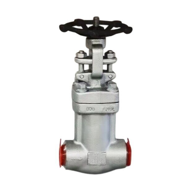 ASTM A182 F316L Globe Valve, API 602, BS 1873, 1 Inch, CL800
