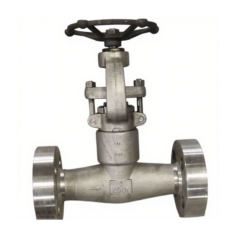 ASTM A182 F51 Globe Valve, BS 1873, 1 Inch, CL2500, PSB, RTJ