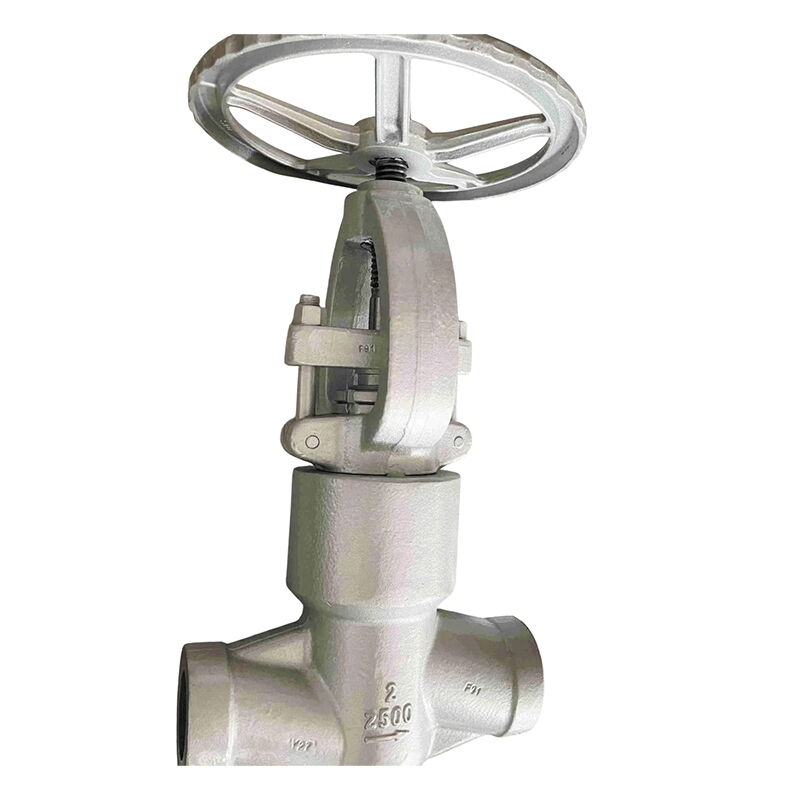ASTM A182 F91 Globe Valve, API 602, 2 Inch, Class 2500, NPT