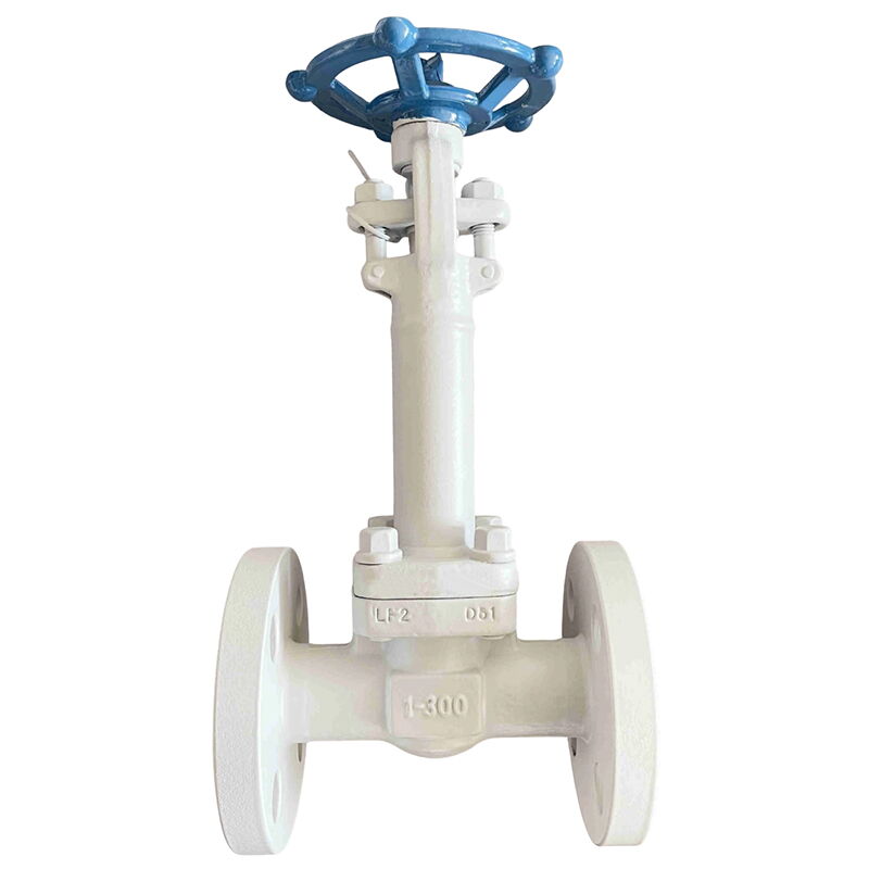 ASTM A350 LF2 Globe Valve, API 602, 1 Inch, Class 300 LB, RF
