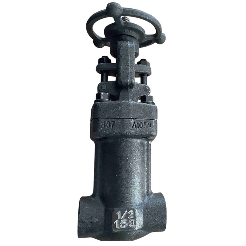 Bellows Sealed Globe Valves, API 602, A105N, 1/2 Inch, CL150
