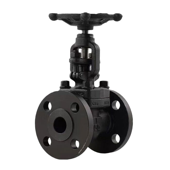 Forged Steel Globe Valve