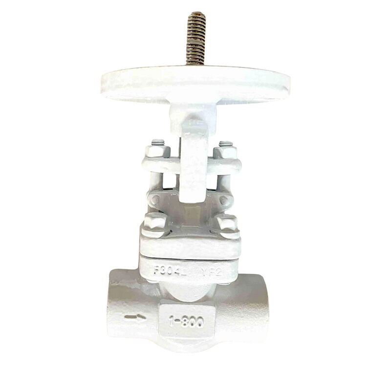 Reduced Bore Globe Valve, API 602, A182 F304L, 1 Inch, CL800