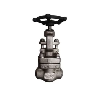 ASTM A182 F304L Globe Valve, API 602, 1/2 Inch, 800 LB, OS&Y