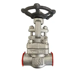 ASTM A182 F316L Globe Valves, API 602, 1/2 Inch, CL800, FNPT