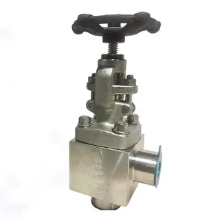 API 602 Angle Globe Valve, ASTM A182 F316, 1/2 IN, CL300, SW